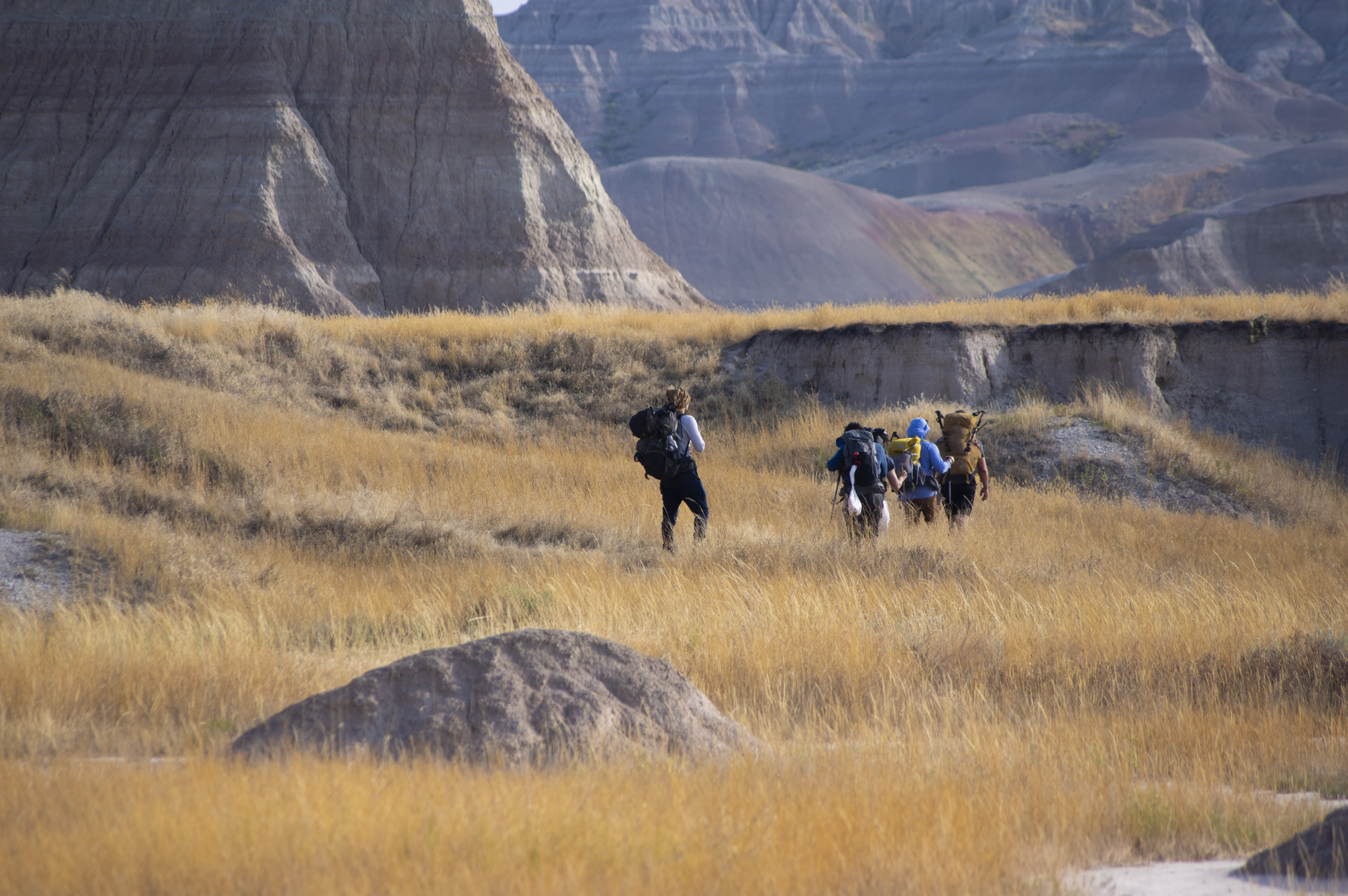 Caravan in the Badlands