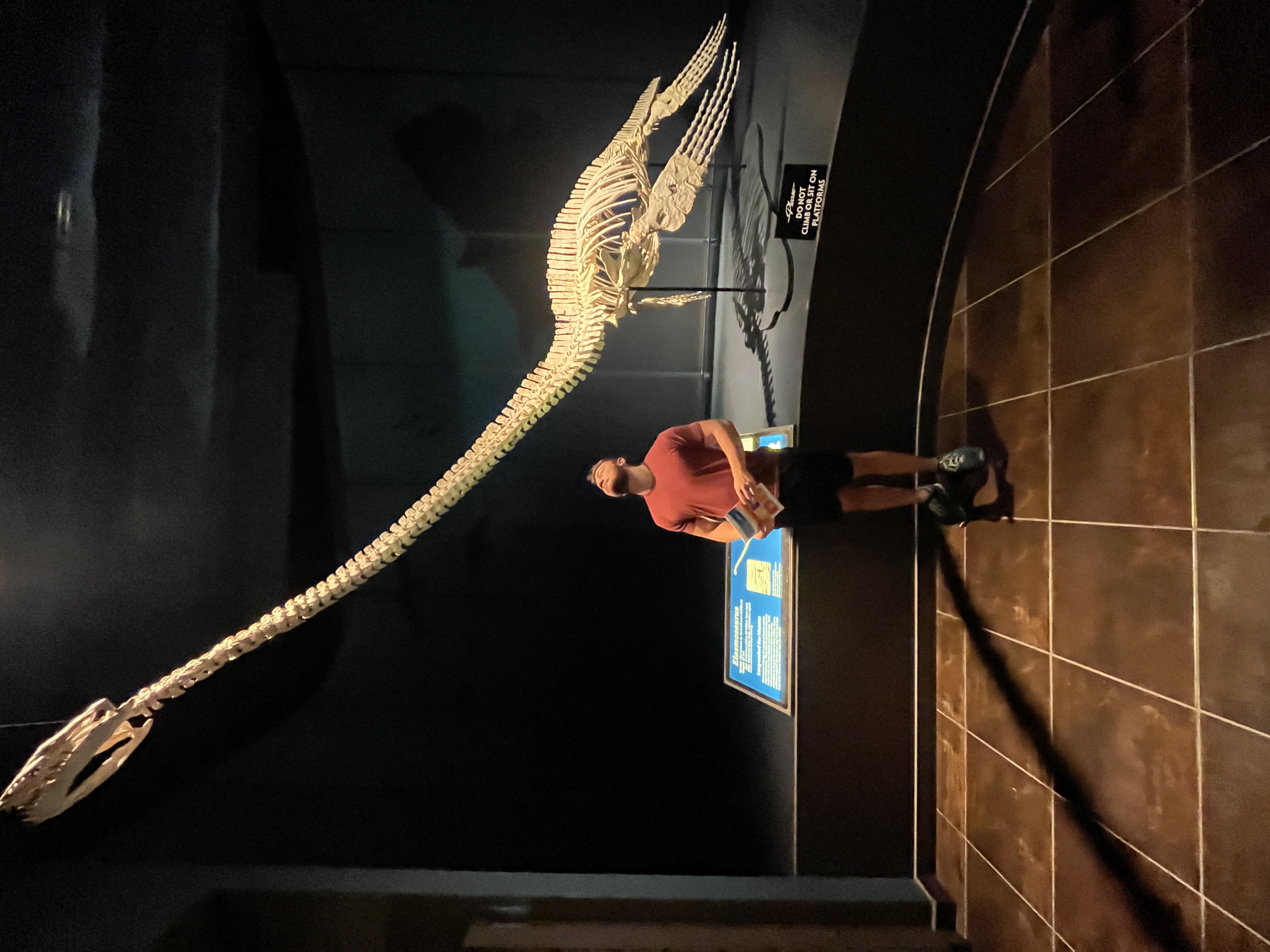 Hunter with a long neck fossil