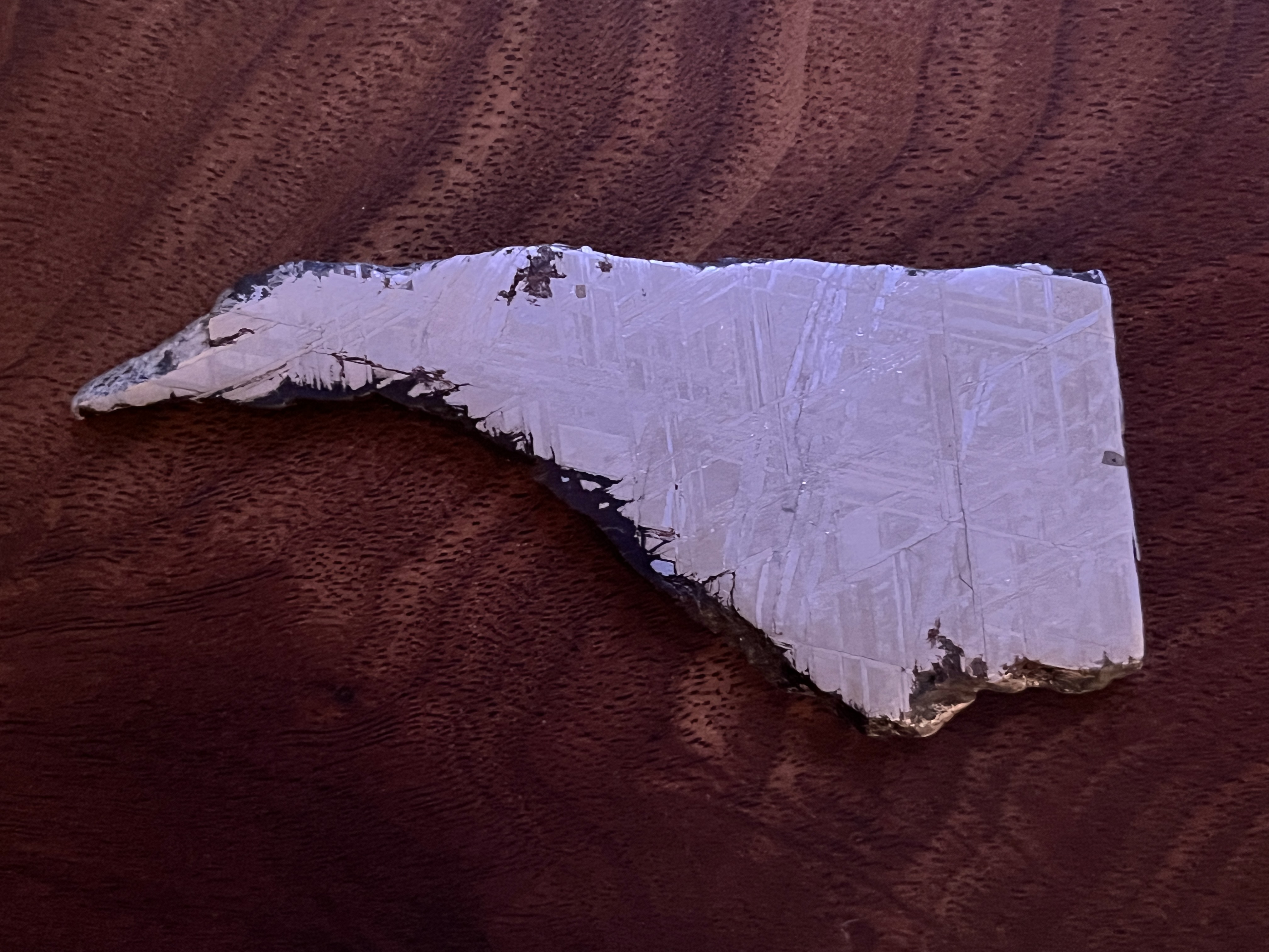 Slice of Muonionalusta meteorite