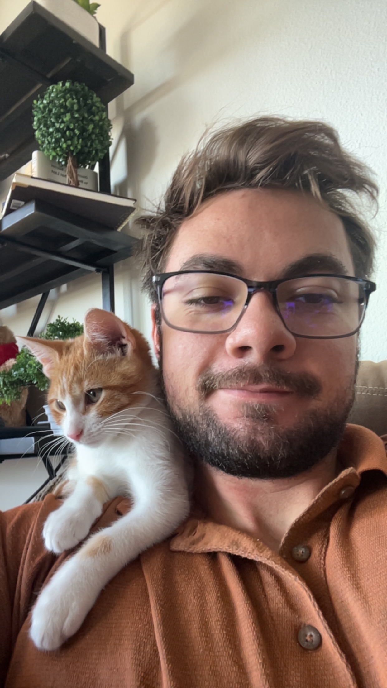 Cat as a shoulder baby